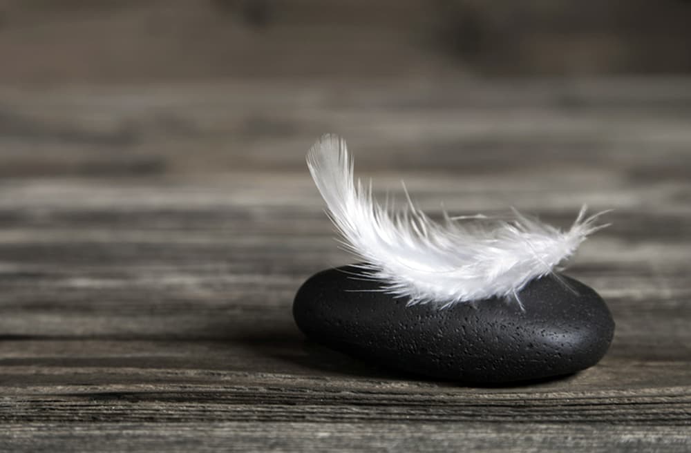 Bauarbeiten für erstes Hospiz in Bremerhaven begonnen