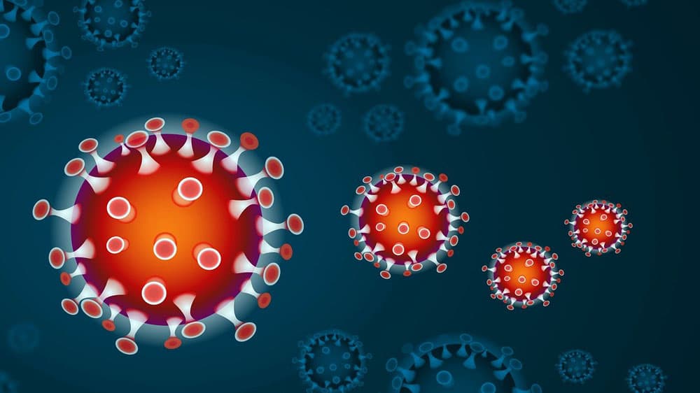 Hannoversche Landeskirche lädt zu digitaler Abendmahlsfeier ein