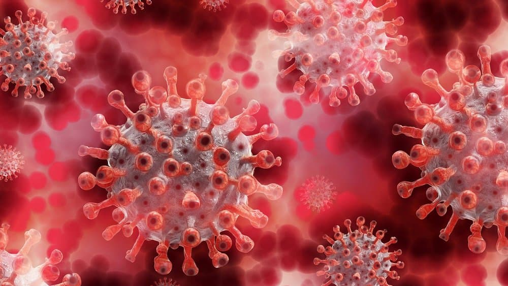 Priester in Vorpommern mit Coronavirus infiziert