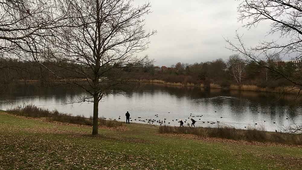 Wenn der Regen die Gedanken wegspült