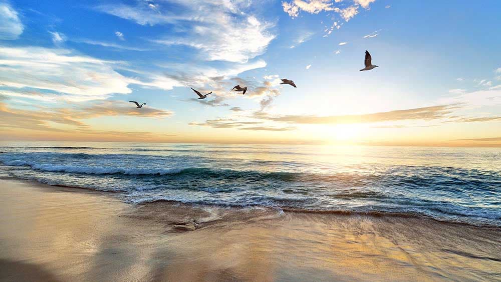 Wie ein Atheist argumentiert