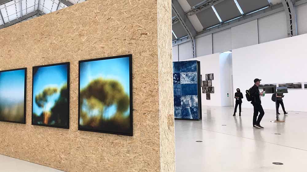 Der tägliche Kampf um Aufmerksamkeit