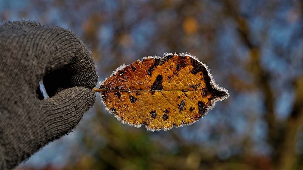 Thomas-Kirche zeigt große und kleine Abschiede