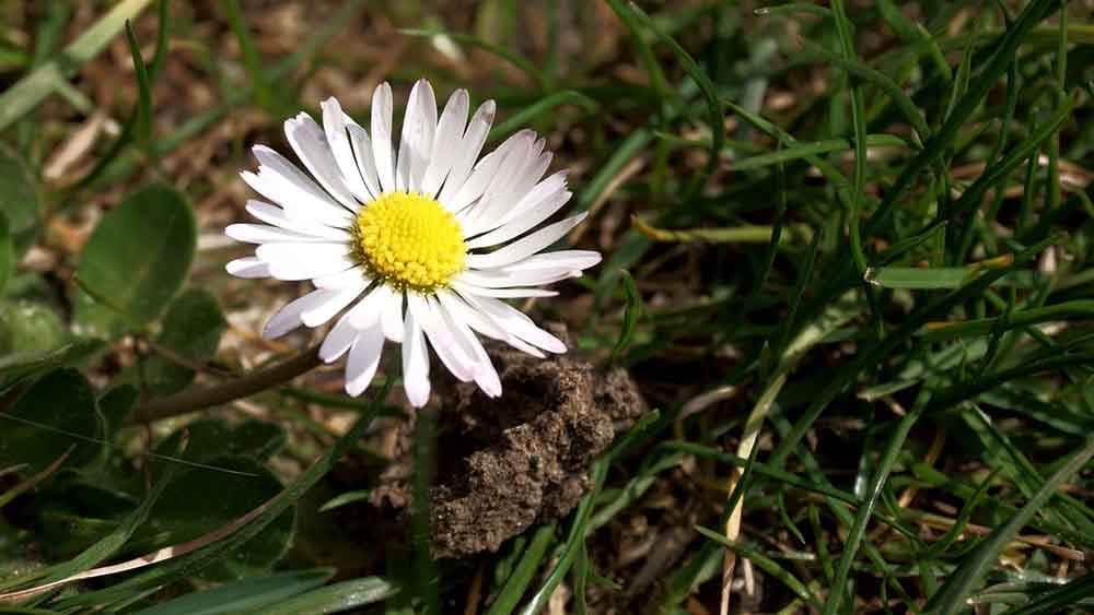 Kirchenkreissynode diskutiert über Klimaschutz