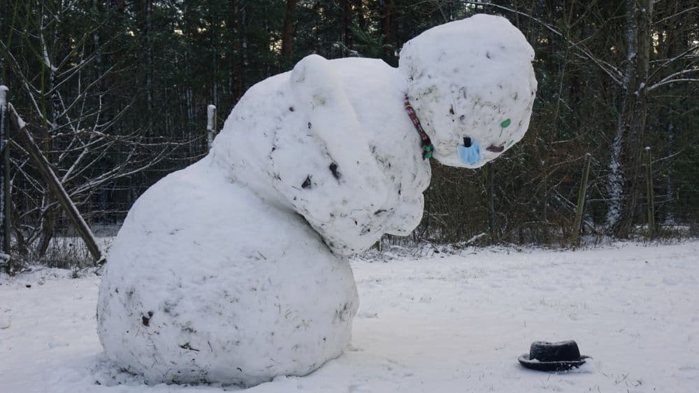 Klimaforscher: “Schneemänner werden immer seltener”