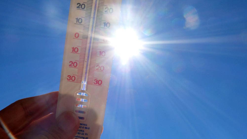 Deutscher Wetterdienst: 2024 wärmstes Jahr seit Messbeginn