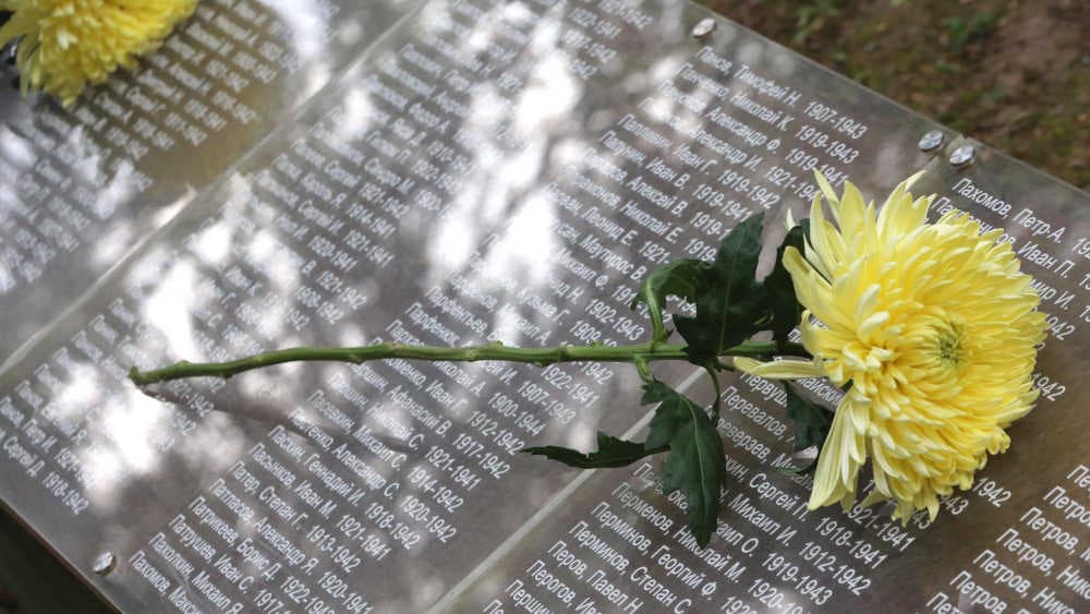 Max Stehlin hat nach 66 Jahren das Grab seines Vaters gefunden