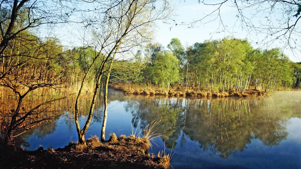 Moore faszinieren seit Jahrhunderten – und sind so wichtig