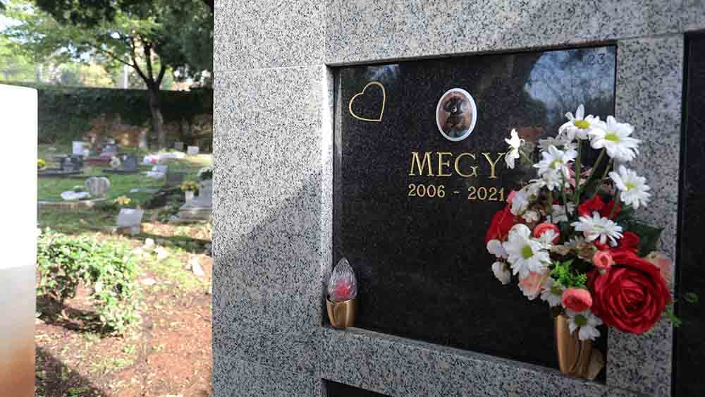 Deutschlands erste Tierbestattungskirche öffnet am 2. Dezember