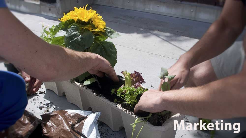 Nachhaltig leben in der Stadt