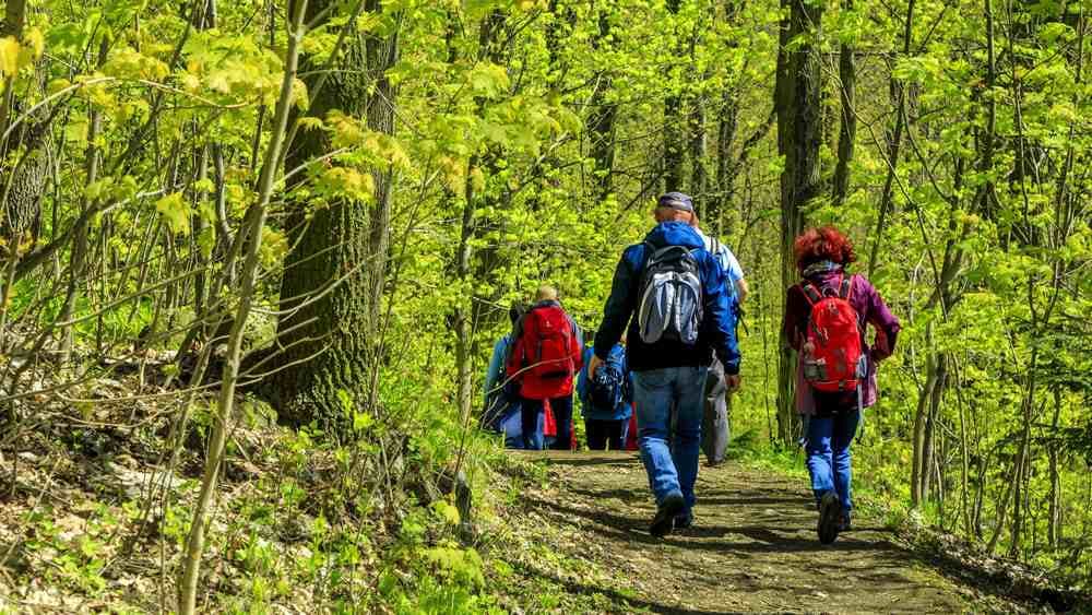 Wanderverband will Diversität im Ehrenamt