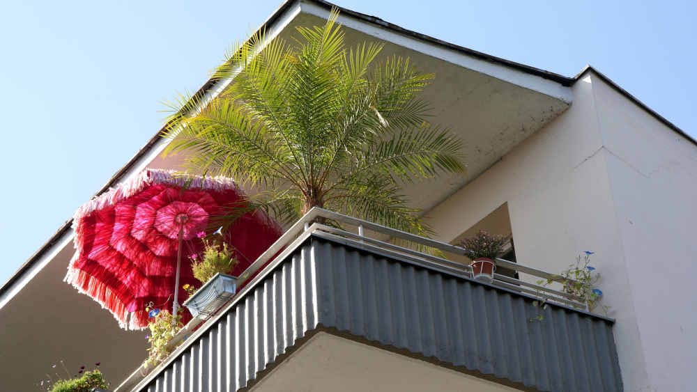 Urlaub 2025: Fast die Hälfte der Deutschen blieb Zuhause