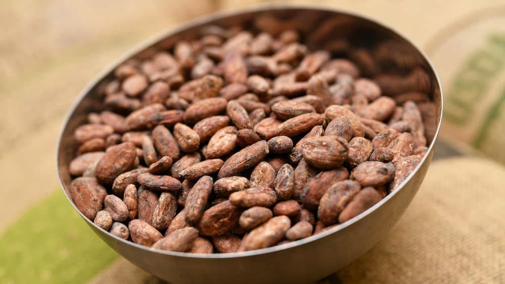 Fairtrade-Initiative stärkt Kakaobauern in Westafrika