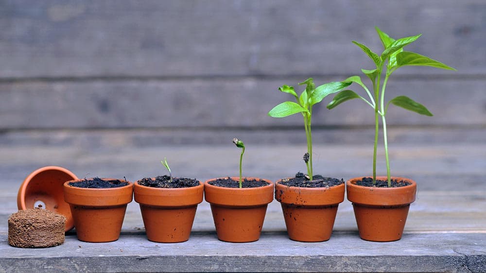 Gedanken zur Jahreslosung 2026: Beständig neu
