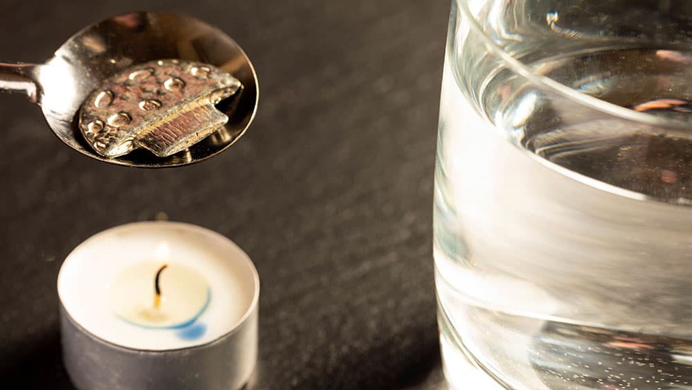 Silvesterbrauch: Mit Goldbären-Orakel und Senf-Sause ins Glück