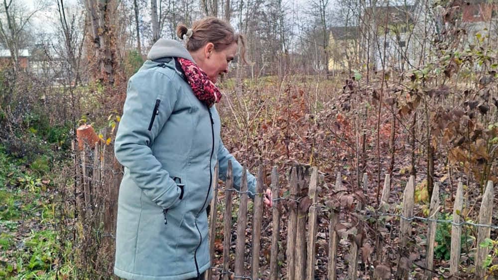 Urbane Biodiversität: Kleine Wälder mitten in der Stadt