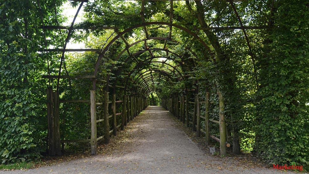 Beliebte Anbieter für Gartenbäume und Spalierbäume in Deutschland