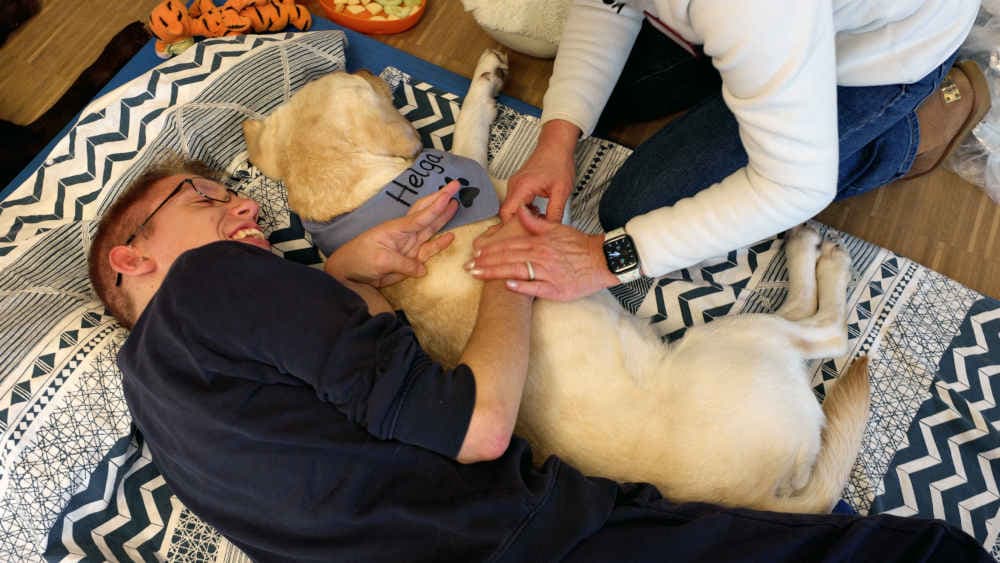 Hospizarbeit: Kuscheln mit Vierbeinern hilft kranken Kindern
