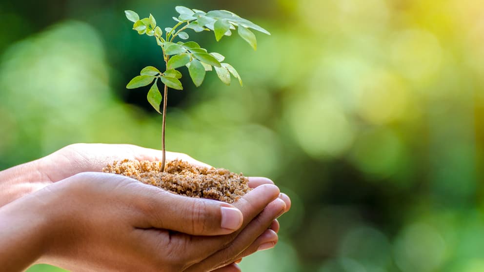 Nordkirche ruft zum Klimafasten auf