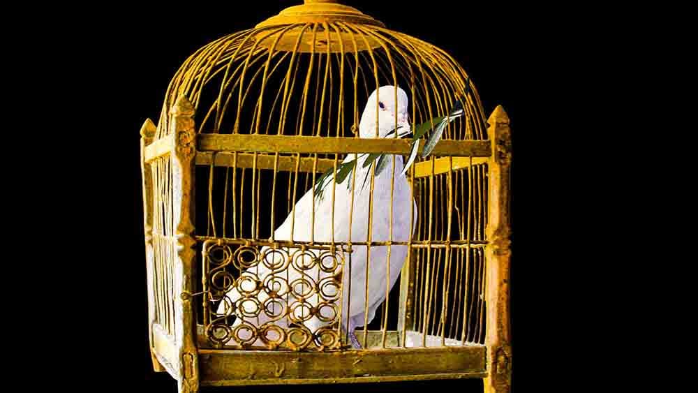 Evangelischer Militärdekan: Es braucht eine neue Friedensethik