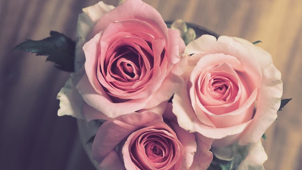 125 Jahre diakonisches Annastift