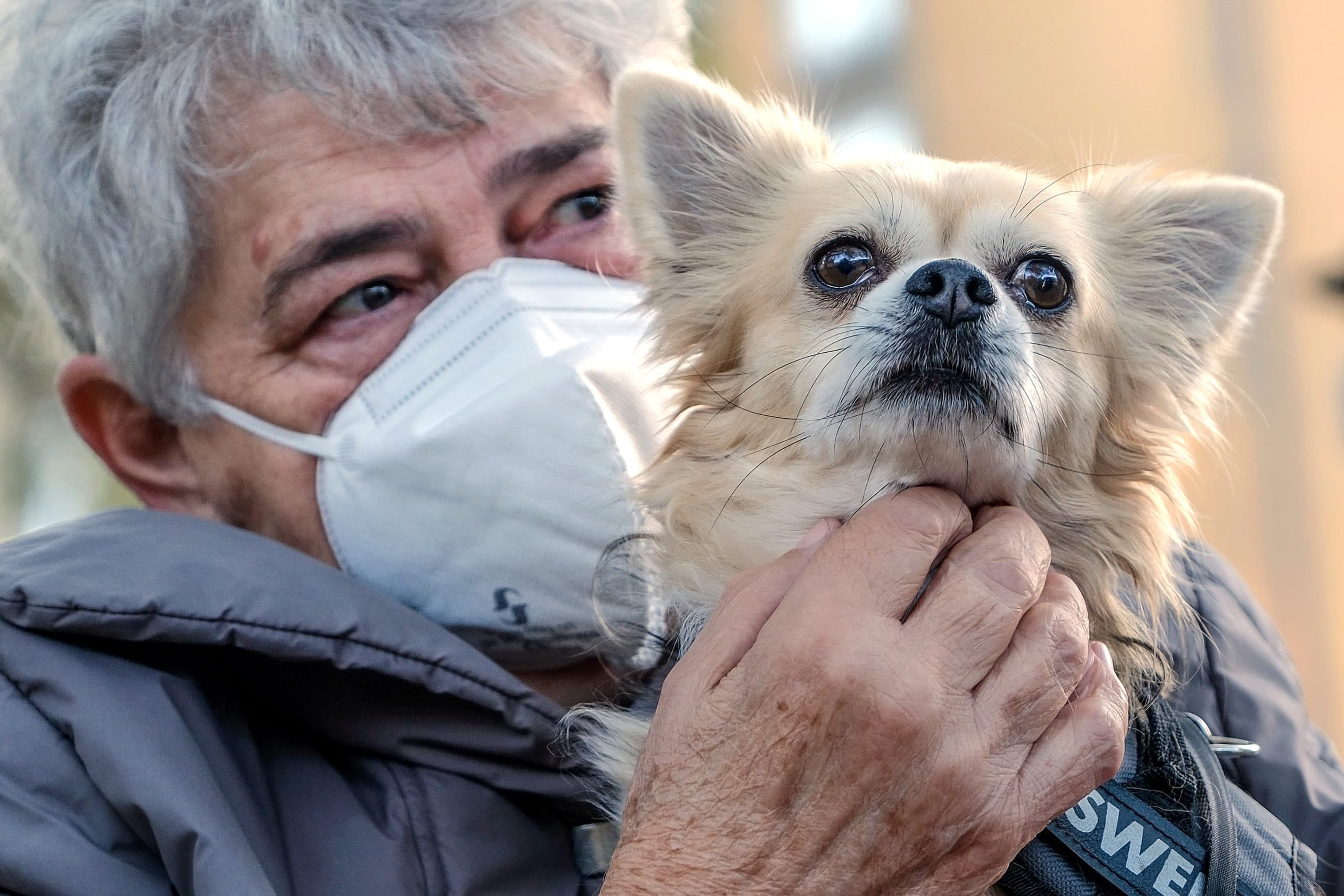 “Der Hund ist mein Leben”