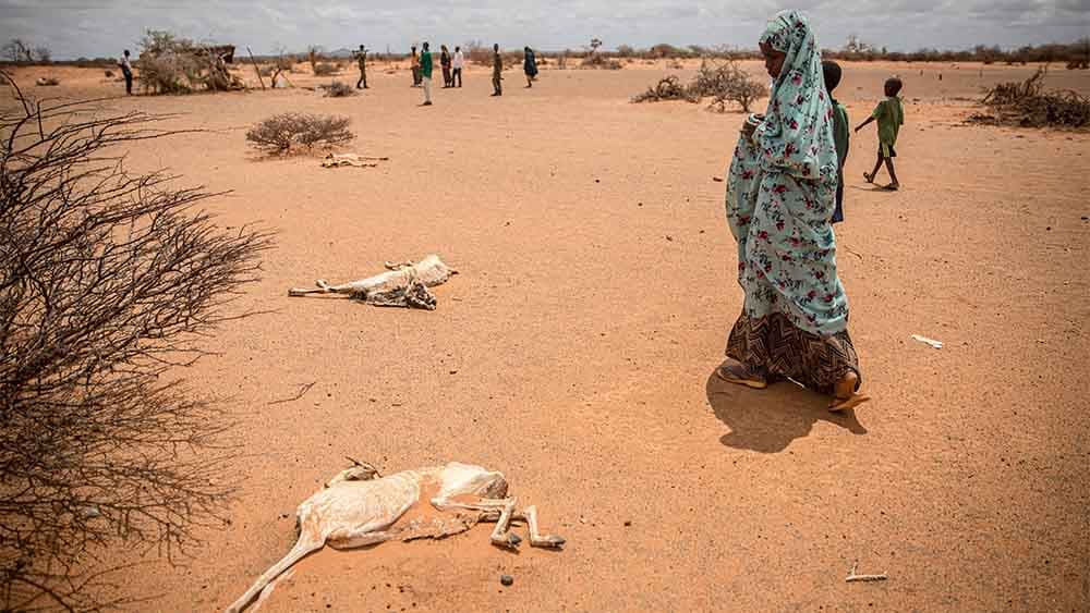 In Somalia droht eine Hungerkrise