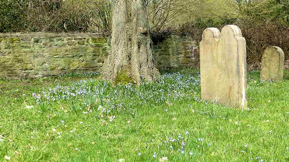 Mehr biologische Vielfalt auf kirchlichen Friedhöfen