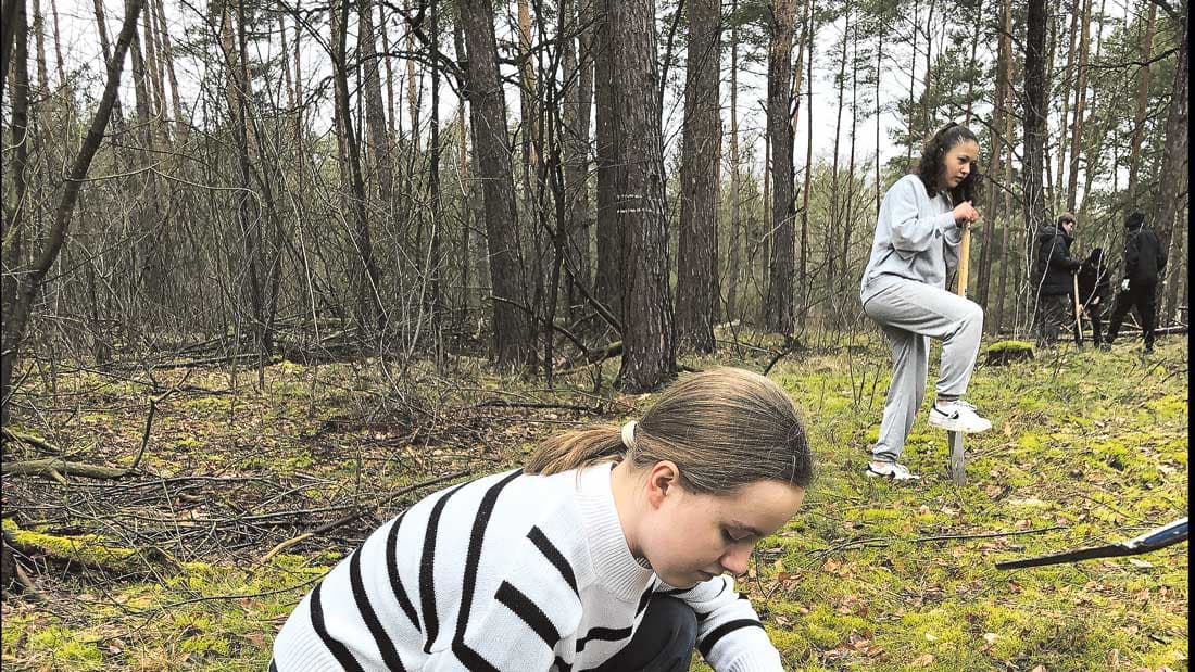 Bäume pflanzen statt Klebeaktionen