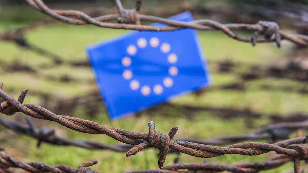 Reform des EU-Asylsystems: Bündnis kritisiert Position der Ampel