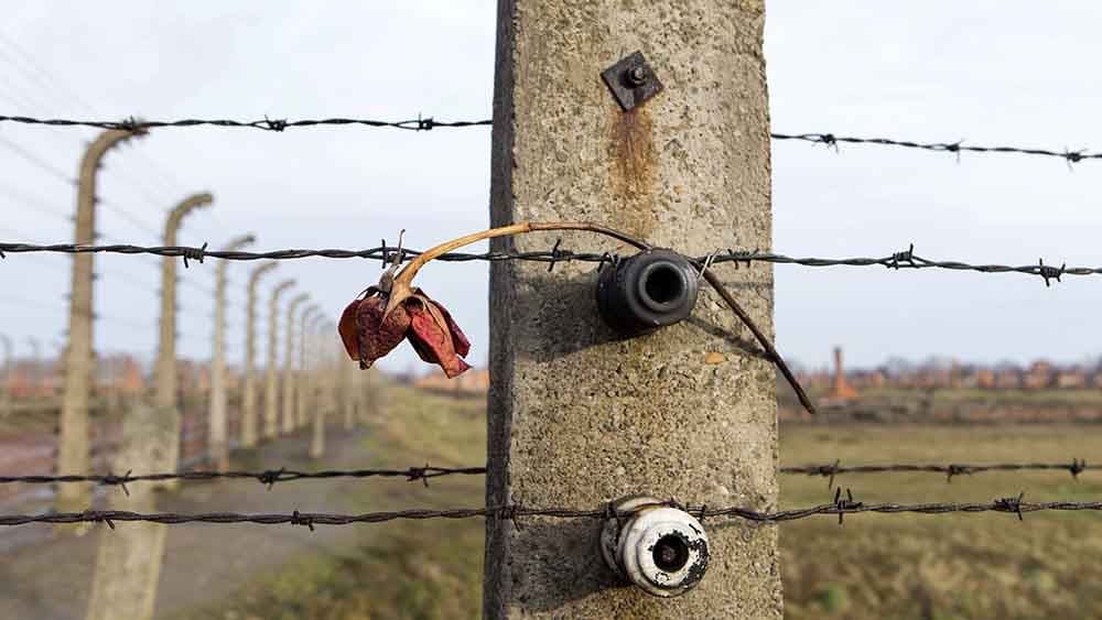 Bundestag: Mahnmal soll an verfolgte Zeugen Jehovas erinnern