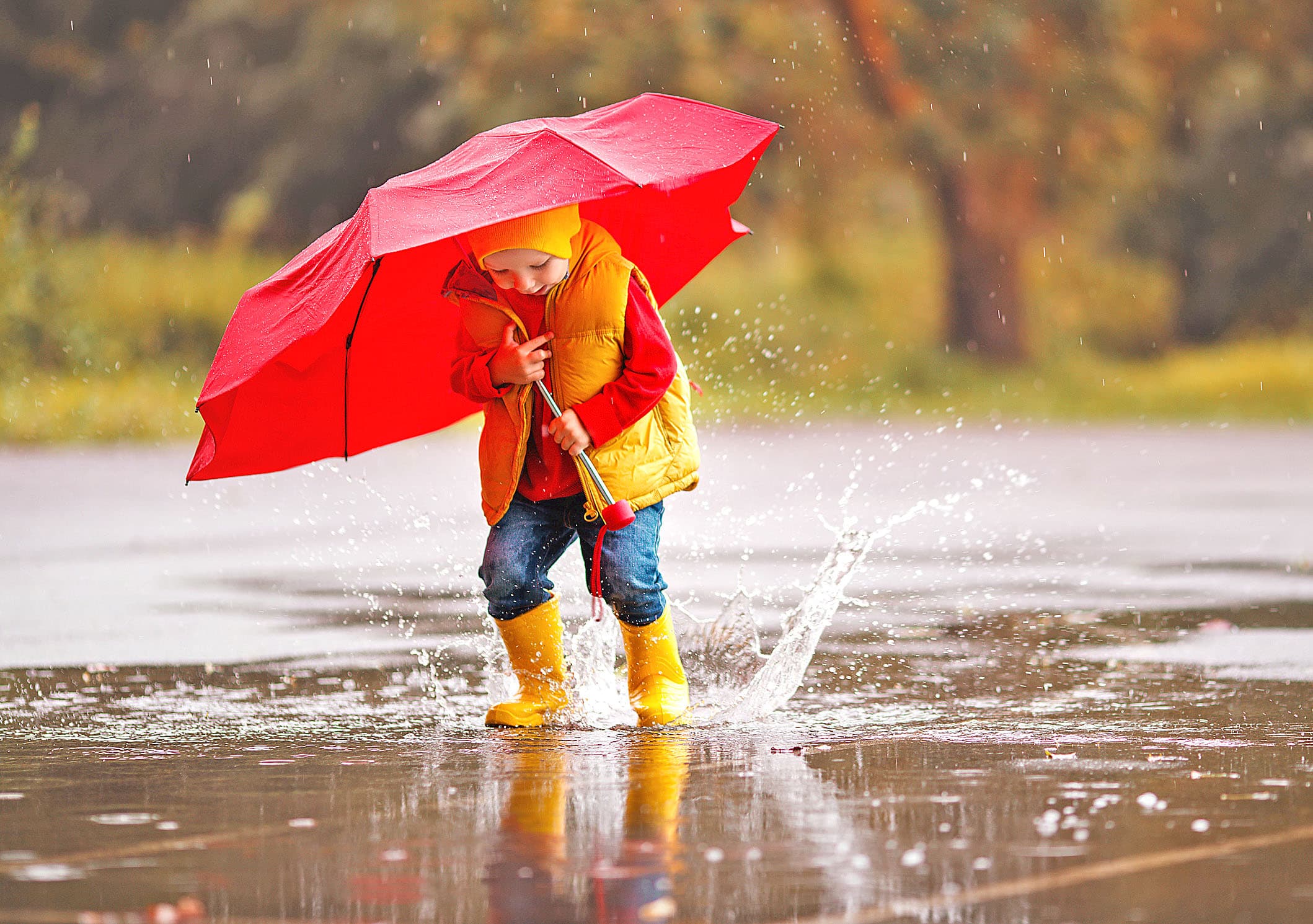 Licht, Luft, Bewegung