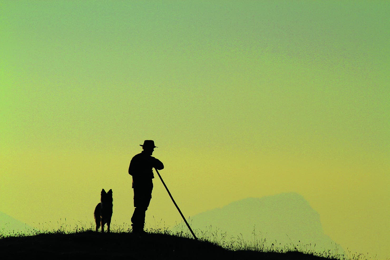 Wir sind keine Schafe!