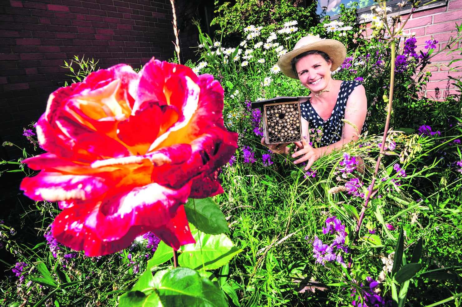 Wer knuspert im Häuschen?