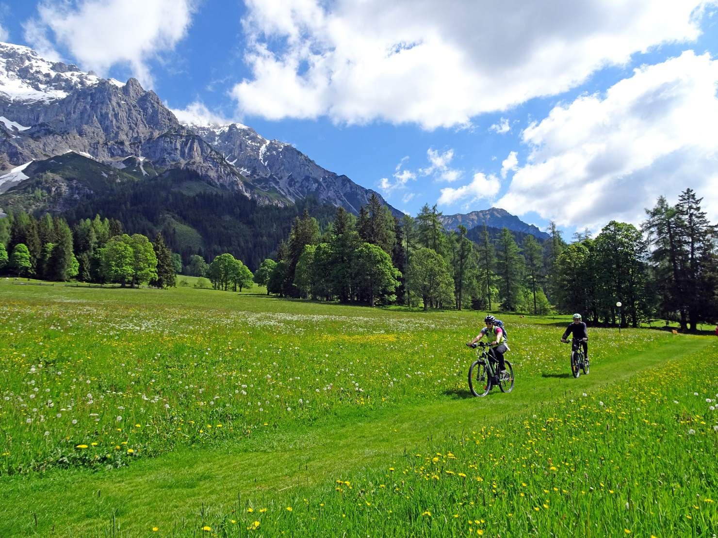 Bibel als Schmuggelgut