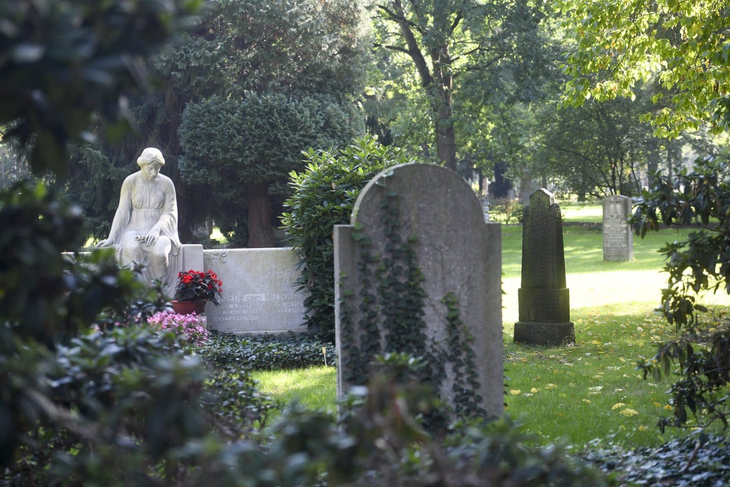 Wenn Bienen über Gräbern summen