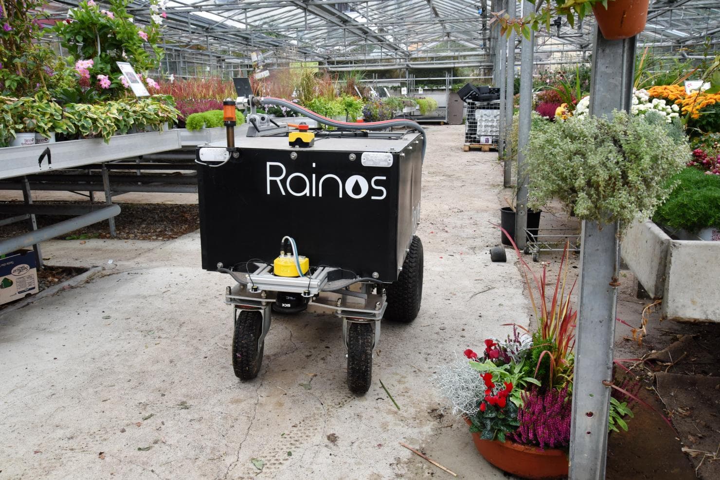 Nachts kommt der «Wasserwilli»