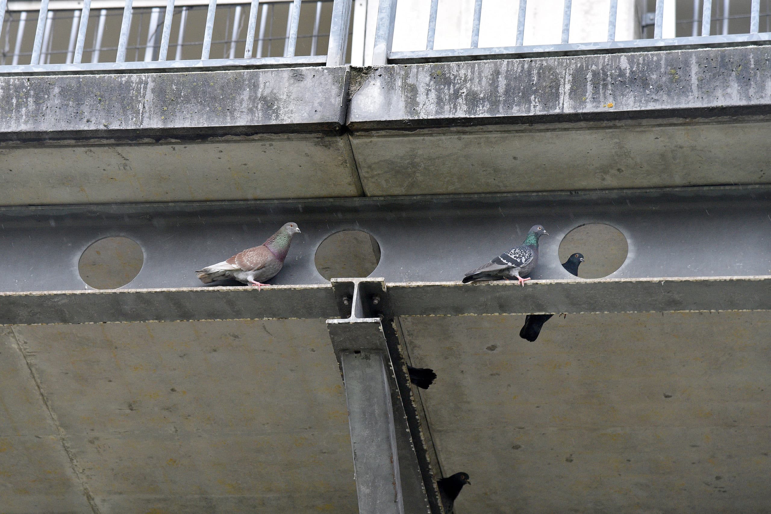 Hungrig und heimatlos