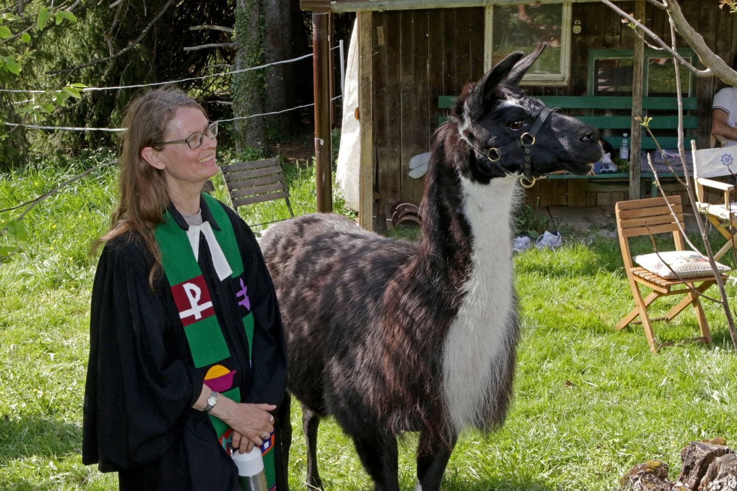 Zu Gast im Wohnzimmer der Lamas