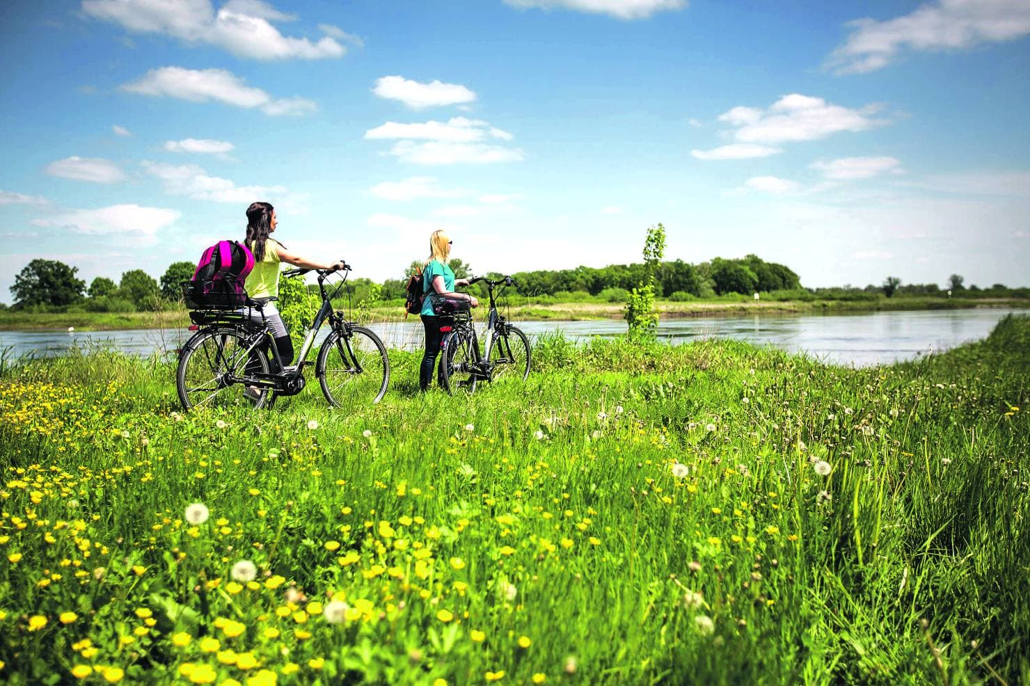 Vögel, Wiesen, Auenwälder