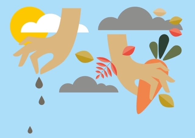 Vom Säen und Ernten