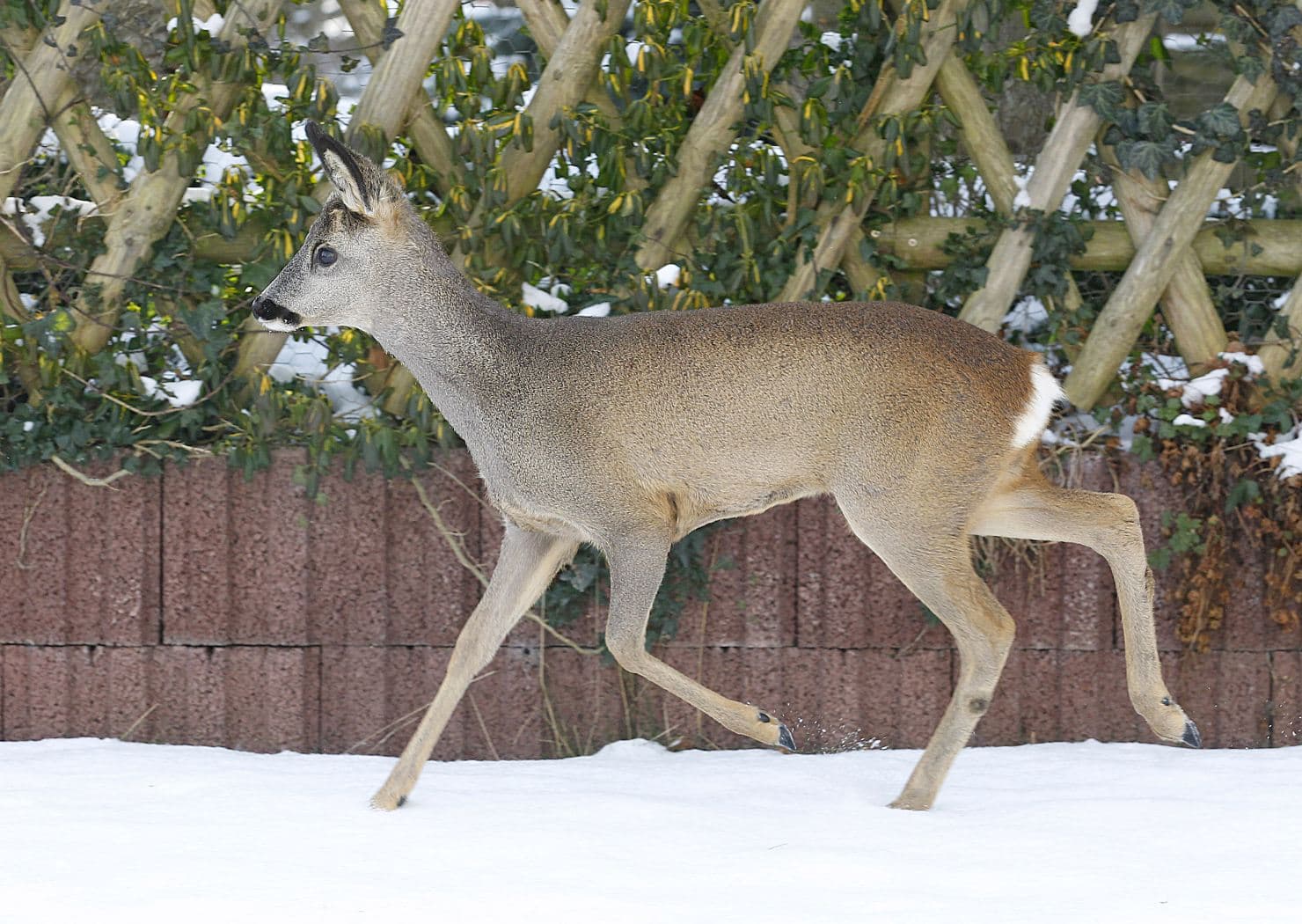 «Hier ist der Tisch reich gedeckt»