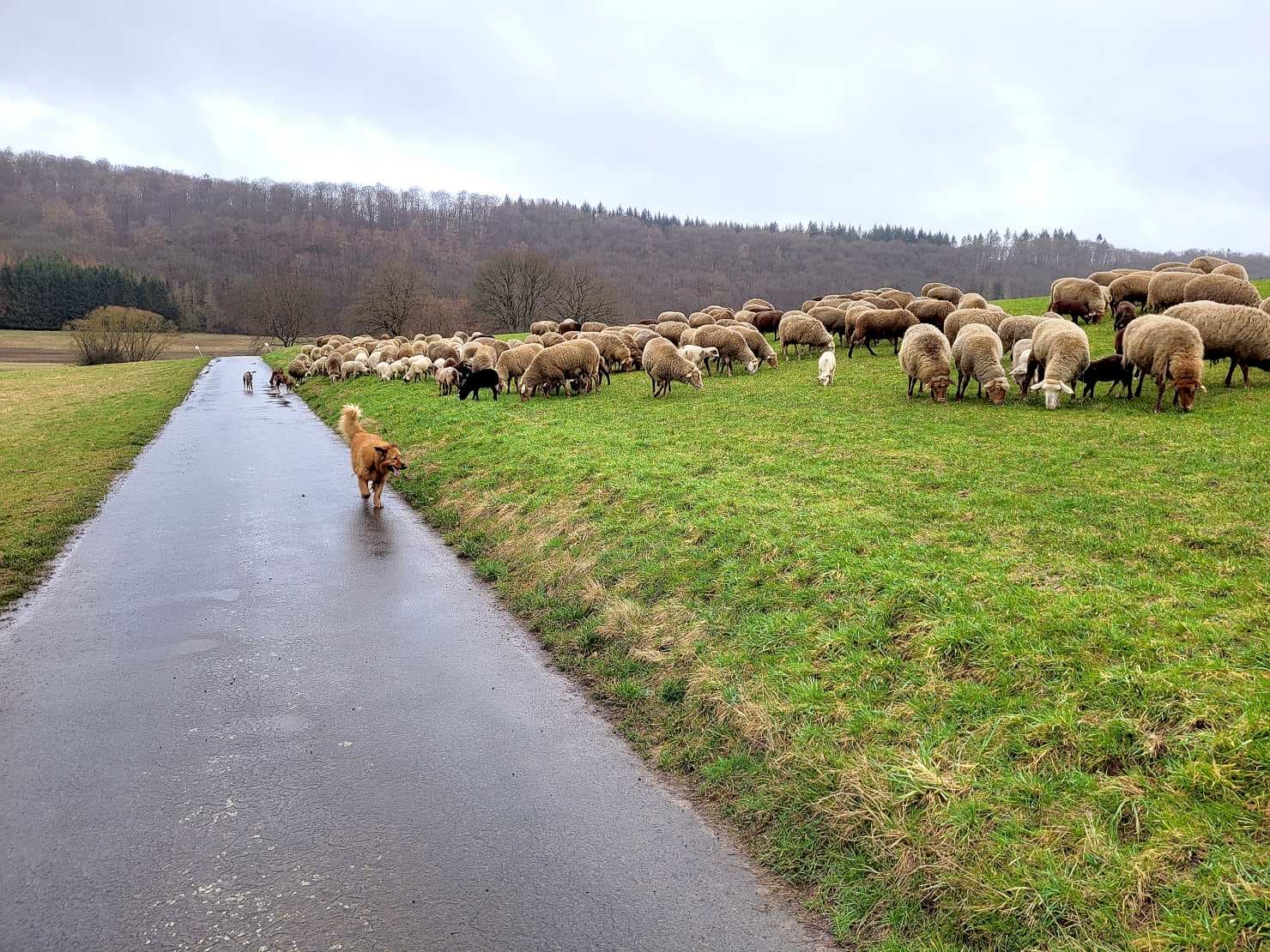 Viele Wege führen zum Glauben