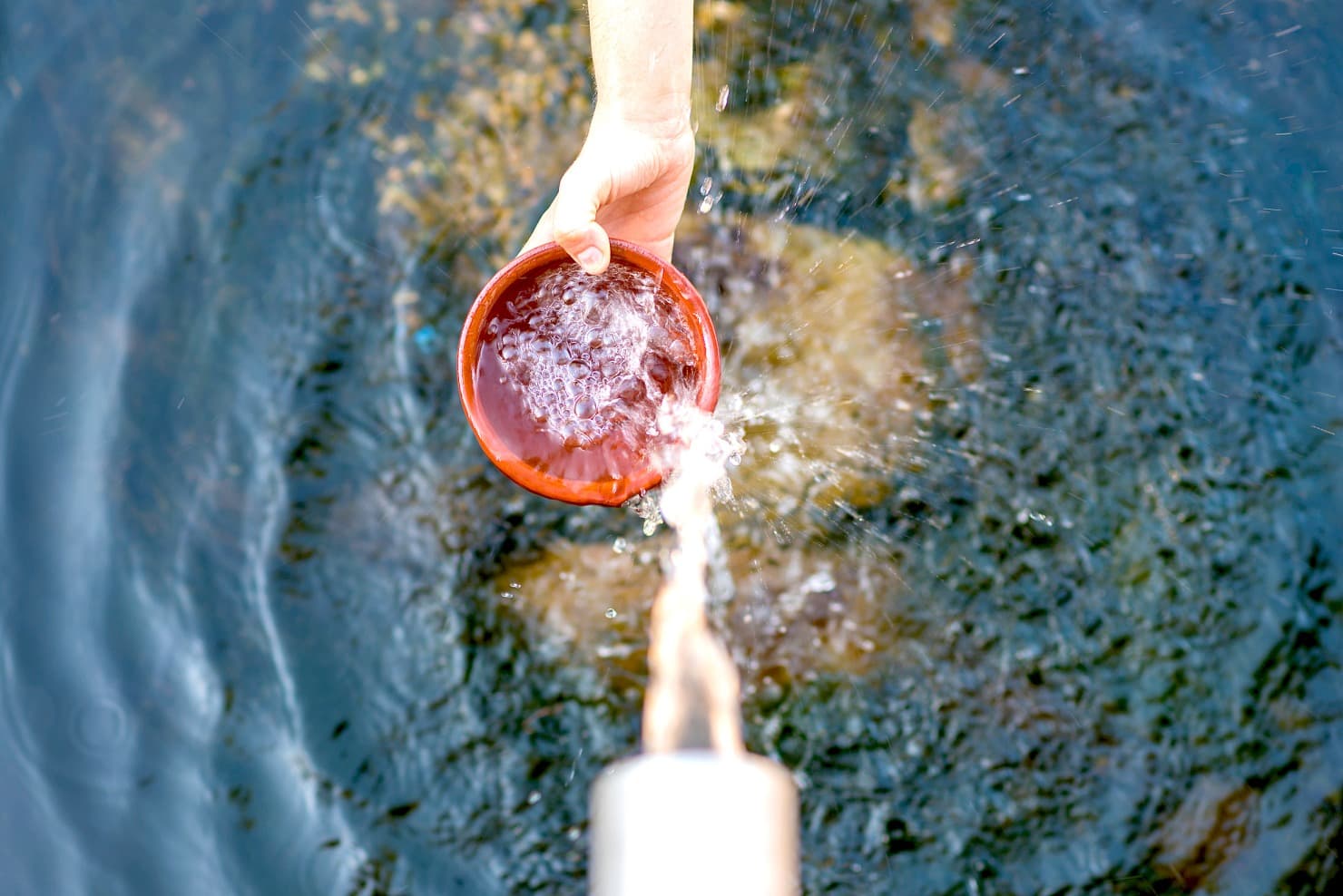 Sehnsucht nach Lebenskraft