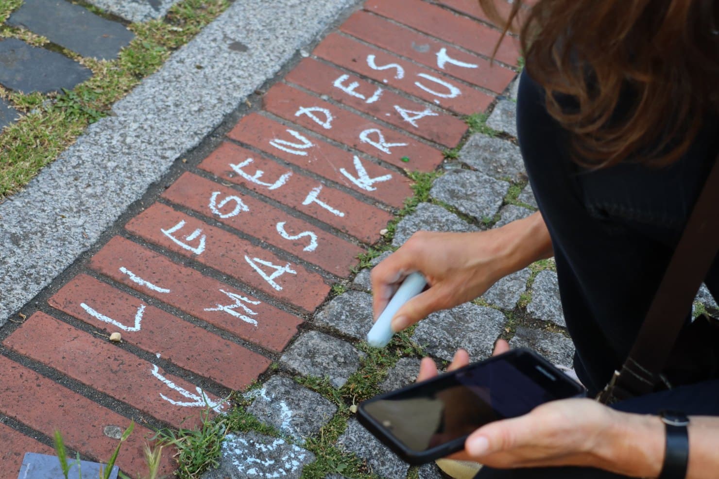 Mauerblümchen auf der Spur