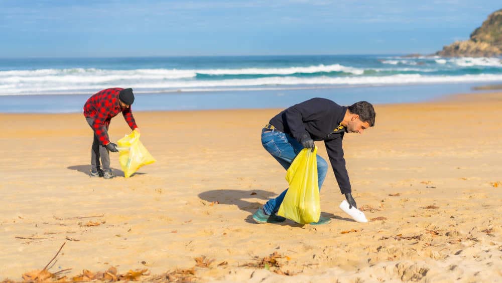 Hochschule bittet um Müllsendungen aus dem Strandurlaub