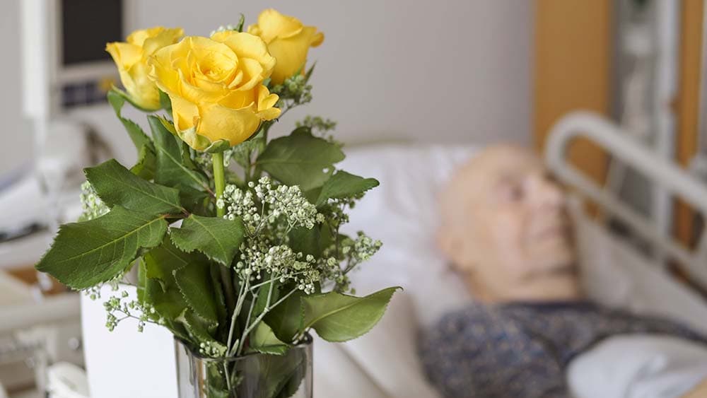 Abgeordnete diskutieren erneute Initiativen zur Suizidhilfe