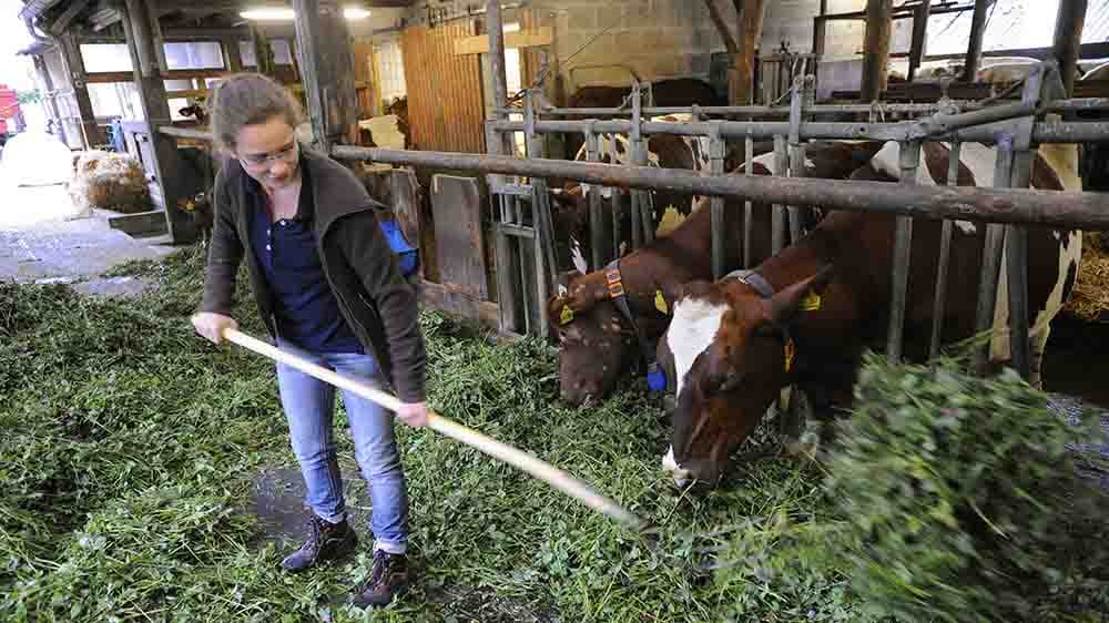 Evangelische Freiwilligendienste appellieren an Ampel-Koalition