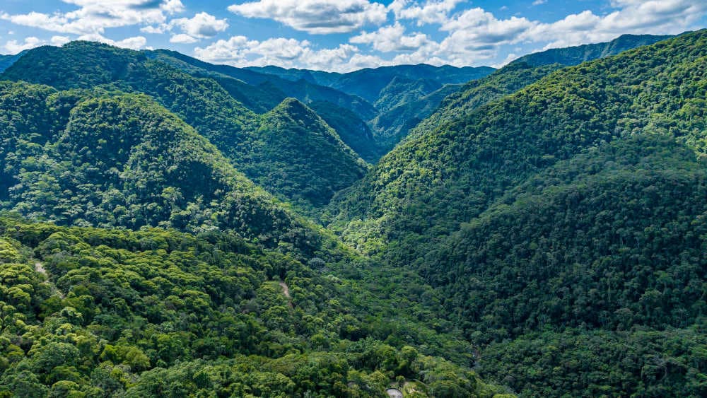 Brasilien: Deutschland gibt eine Milliarde für Tropenfonds