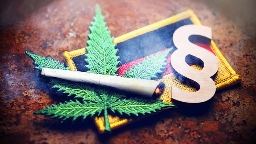 Freier Rausch? Die geplante Cannabis-Legalisierung ist umstritten